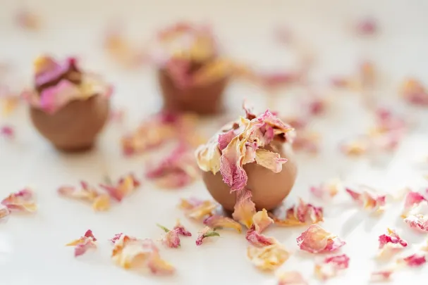 Casino Paradise Win Application Android/iOS